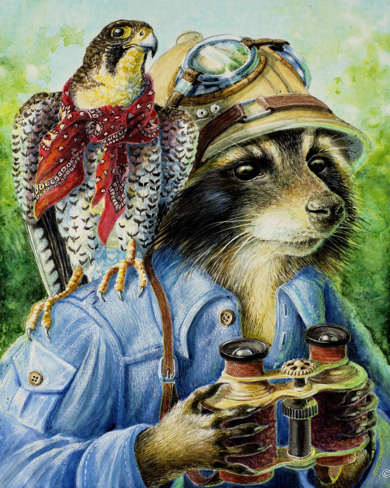 The Explorers